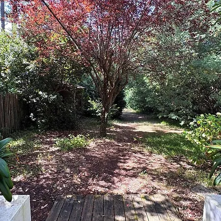 Au Bord Du Bassin, Jardin Prive, Wifi, Parking, 8 Pers. - Fr-1-736-61 Lège-Cap-Ferret